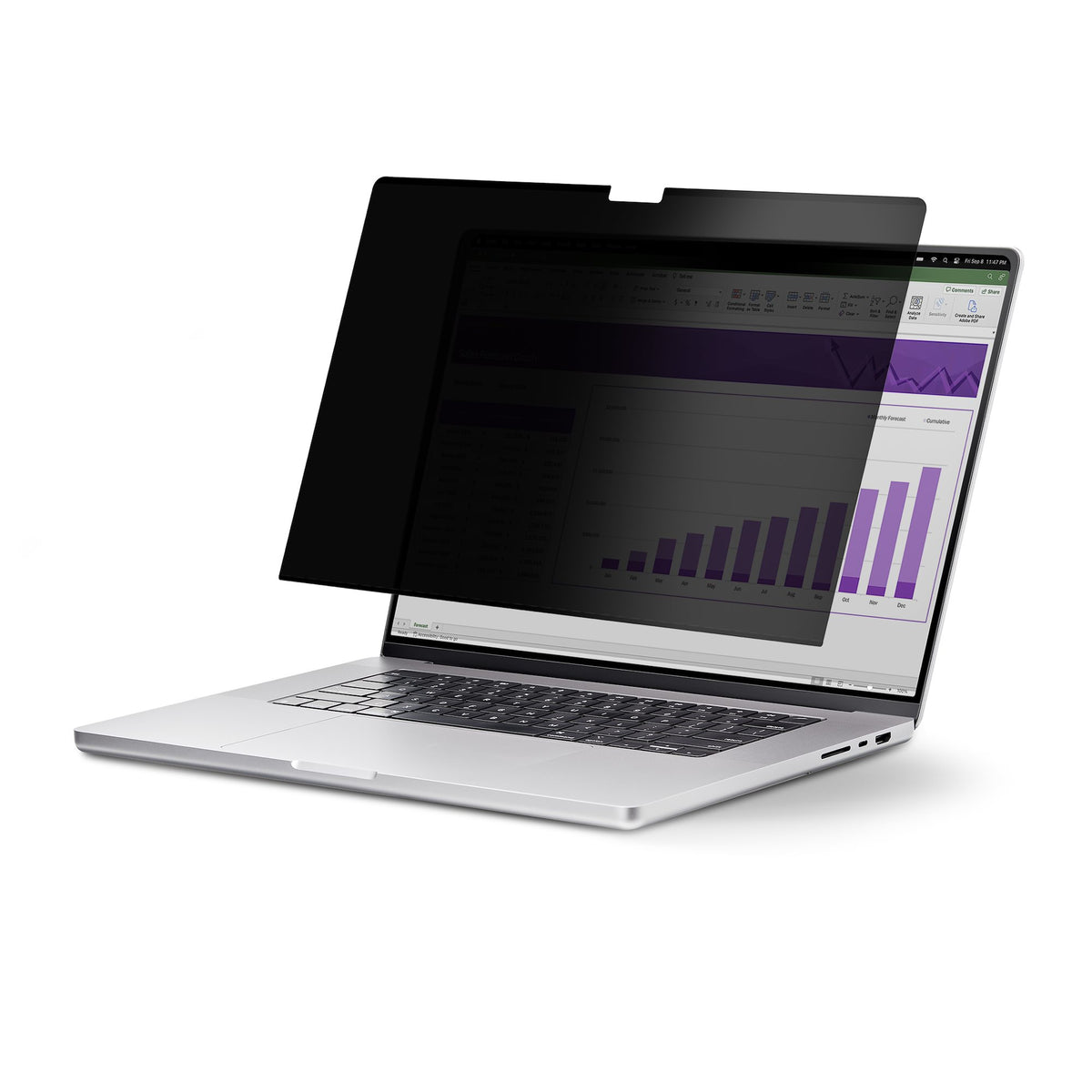 Filtre confidentialité magnétique 13" pour PC portable