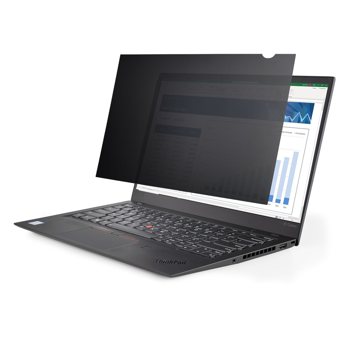 Filtre confidentialité écran 15,6" - StarTech