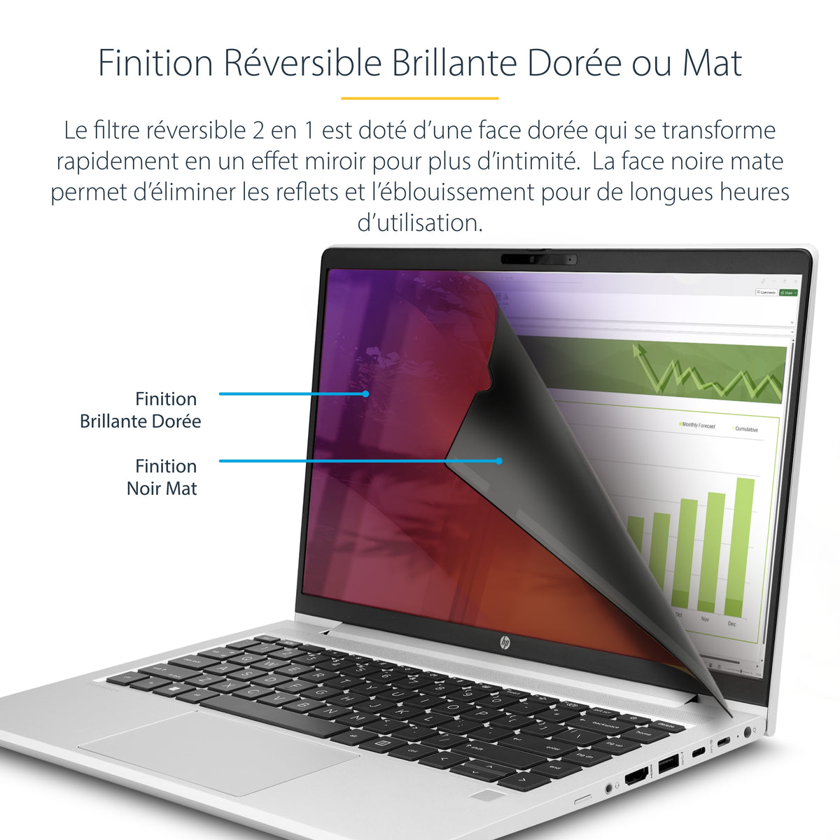 Filtre confidentialité PC 15.6" noir or StarTech