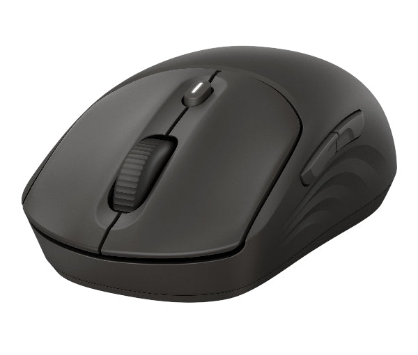 HP 405 Souris Silencieuse Sans Fil Bluetooth & USB Noir