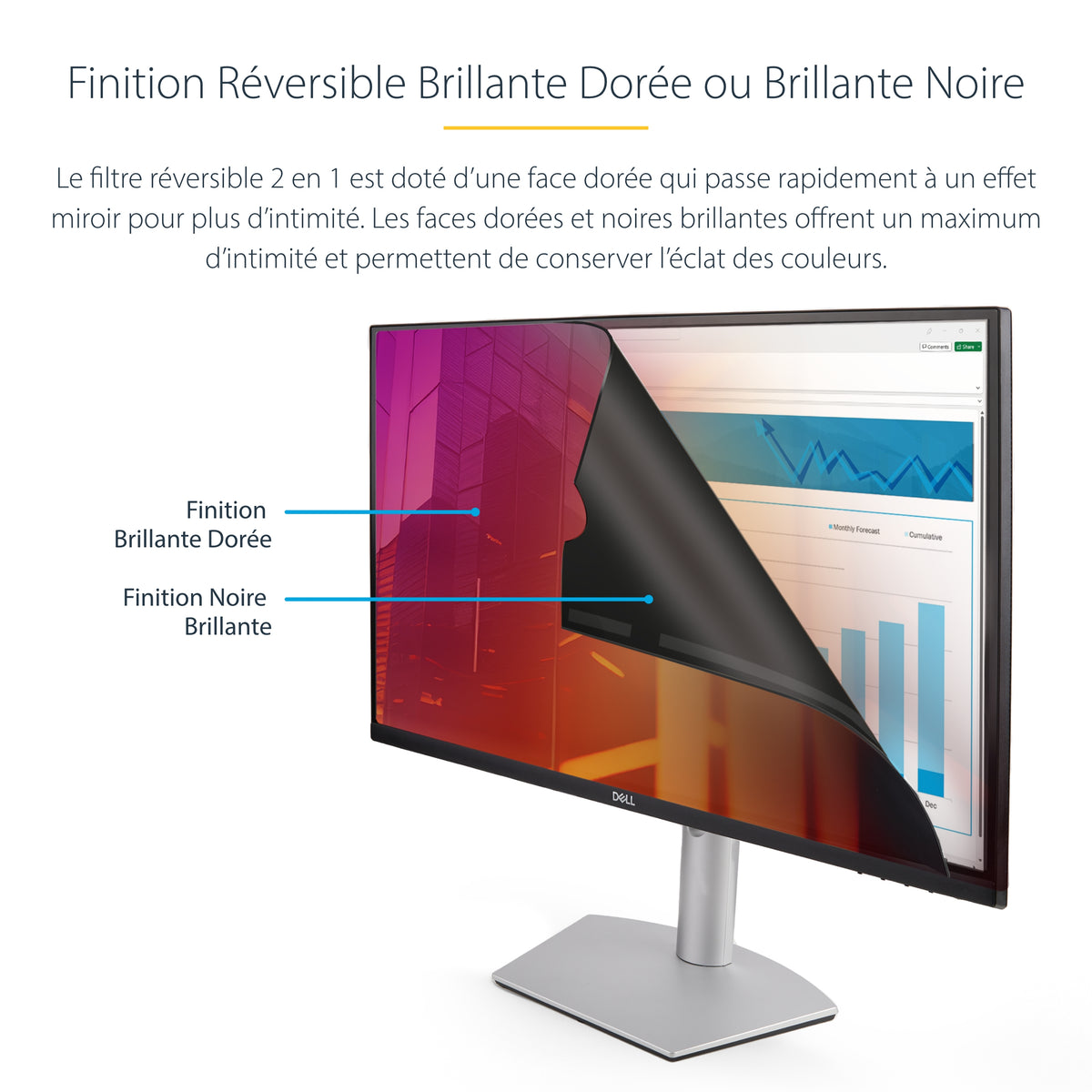 Filtre anti-indiscrétion 24" noir-or StarTech - Confidentialité garantie