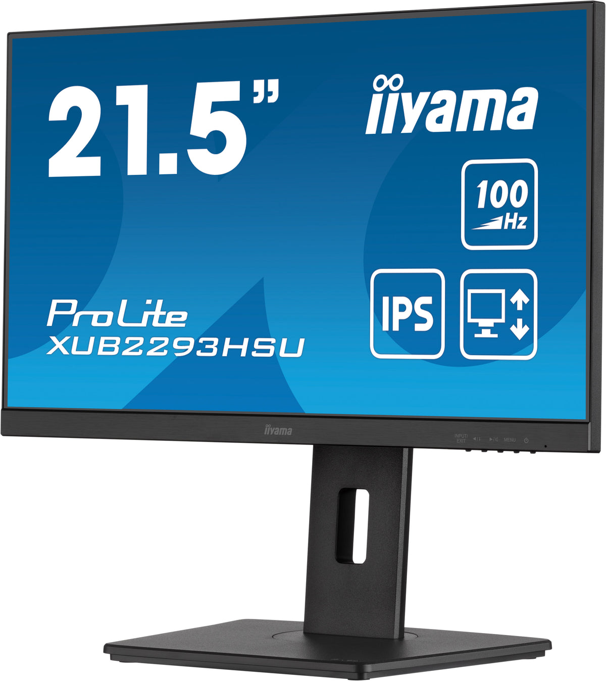 Écran LED 21.5" Full HD 100Hz IPS - iiyama ProLite XUB2293HSU-B7
