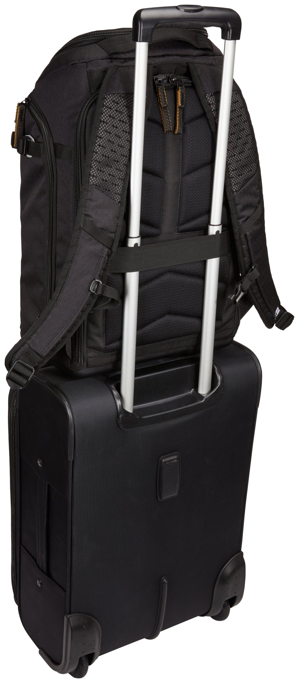 Sac à dos photo Case Logic Viso Large Noir - Robuste & Ergonomique
