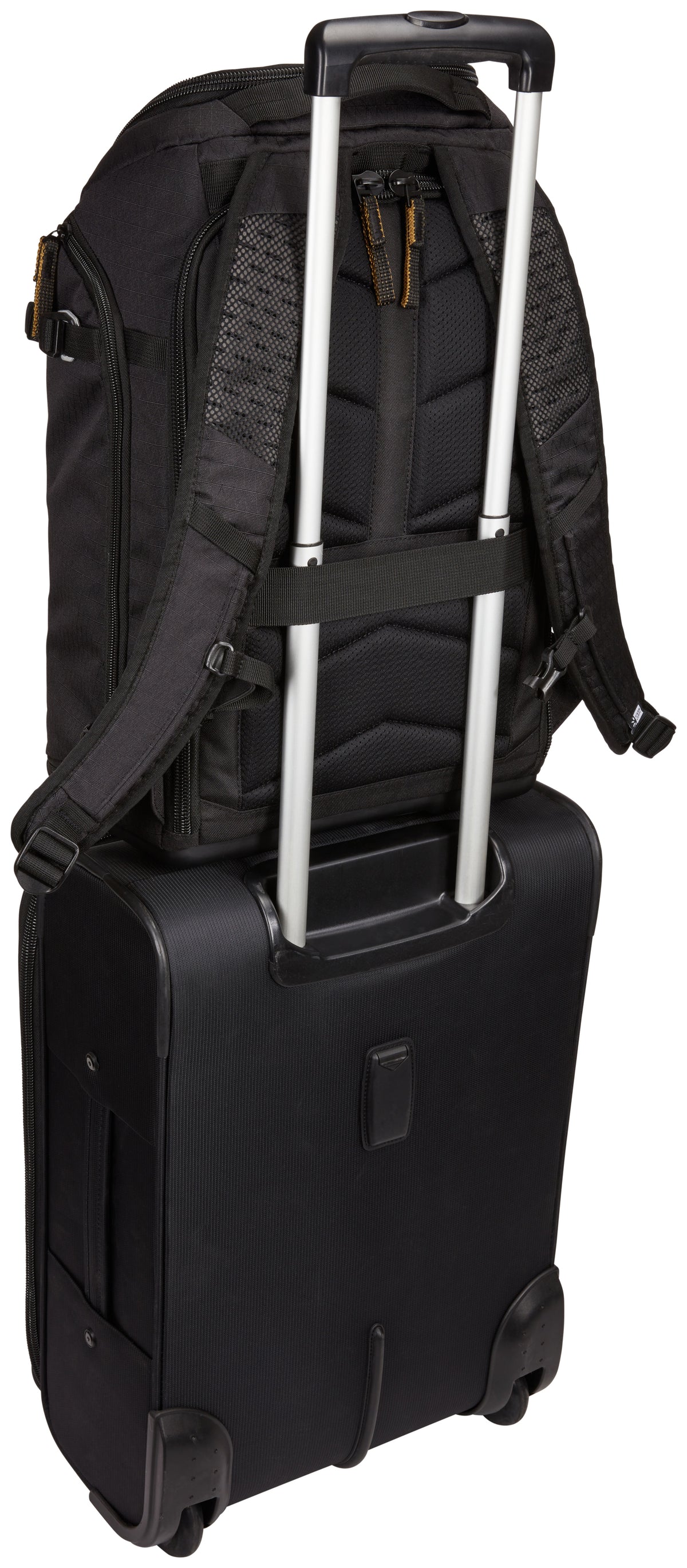 Sac à dos photo Case Logic Viso Large Noir - Robuste & Ergonomique