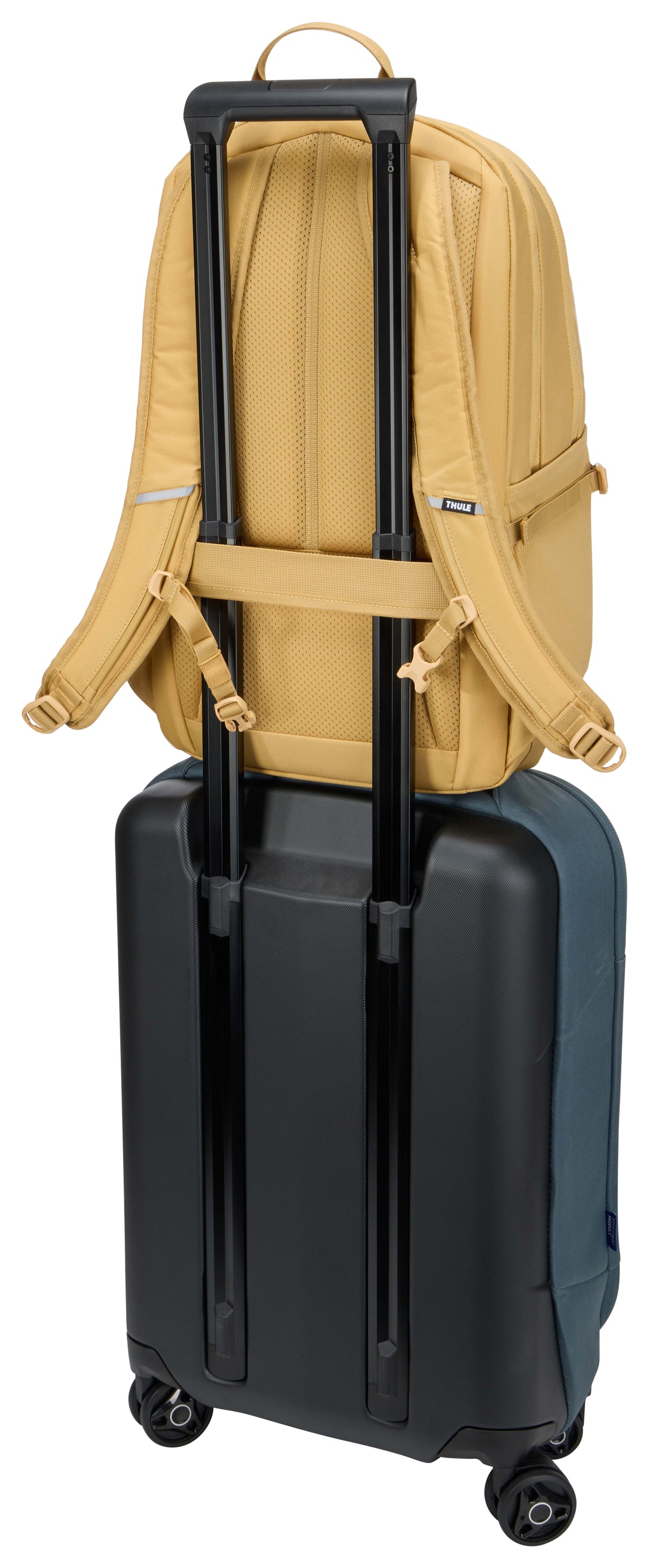 Sac à dos Thule EnRoute 23L jaune pâle 16"