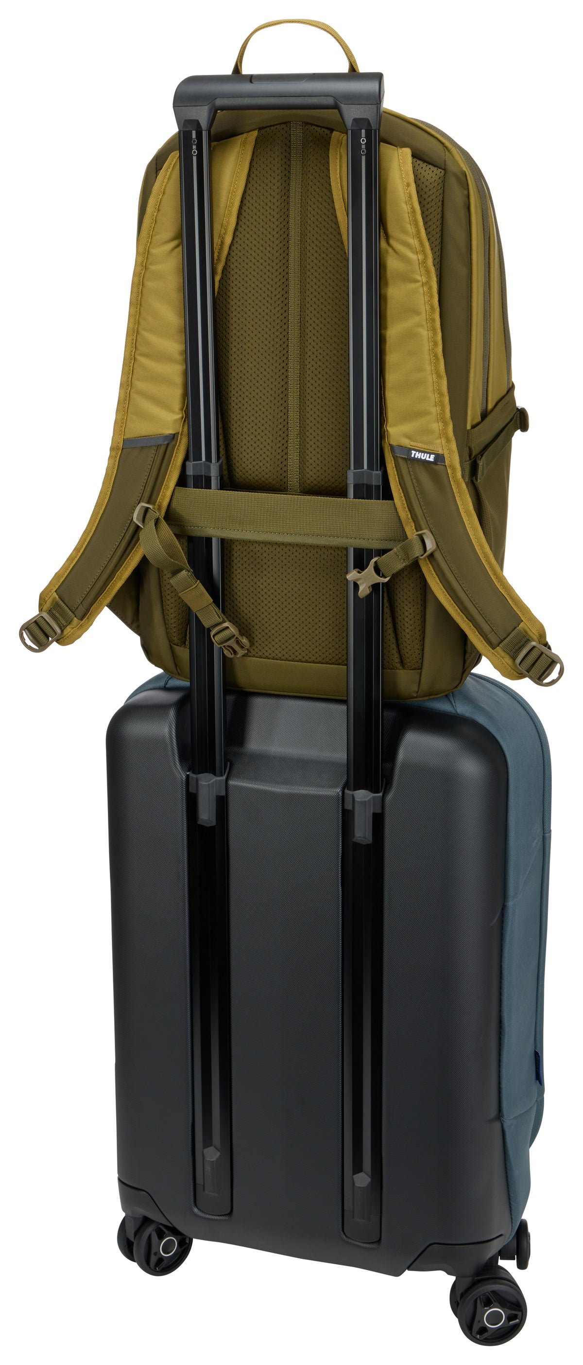 Sac à dos Thule EnRoute 23L pour ordinateur 16" - Vert naturel