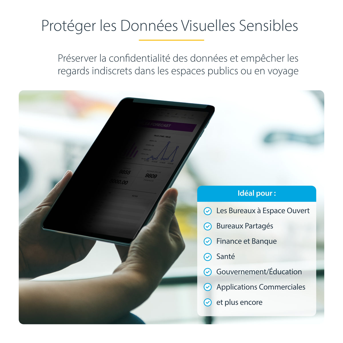 Protection écran iPad Pro 12.9" 4 voies mat + filtre confidentialité