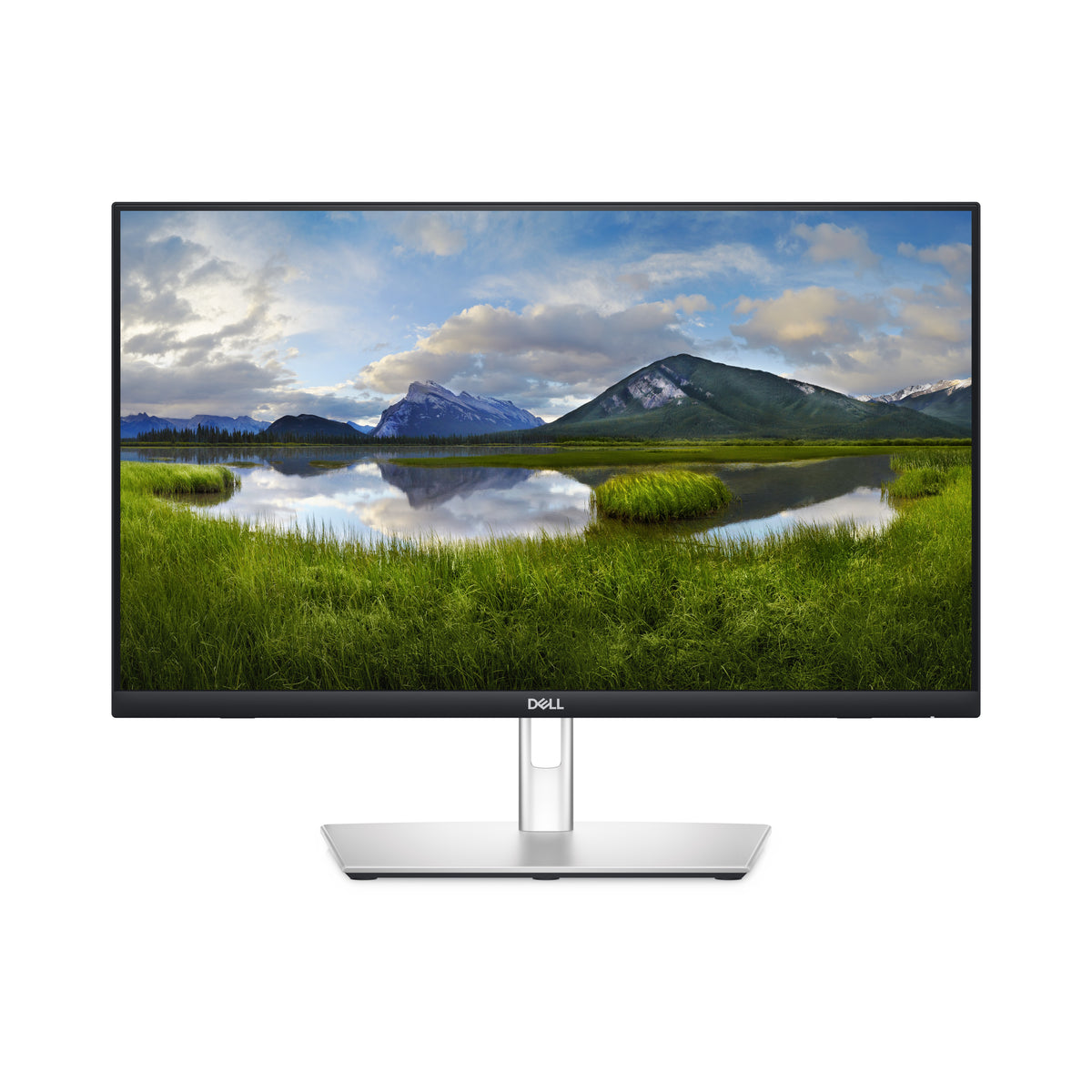 Dell P2424HT Écran Tactile 24" Full HD - Garantie 3 Ans