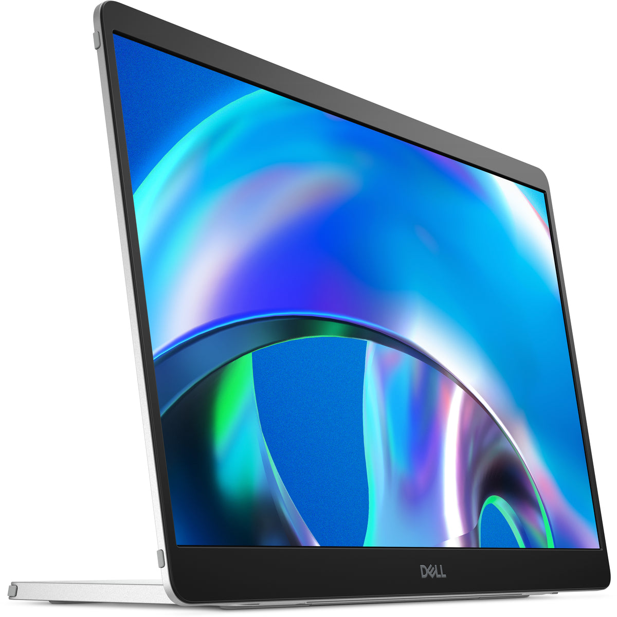 Dell Pro Plus P1425 - Écran 14" WUXGA Portable