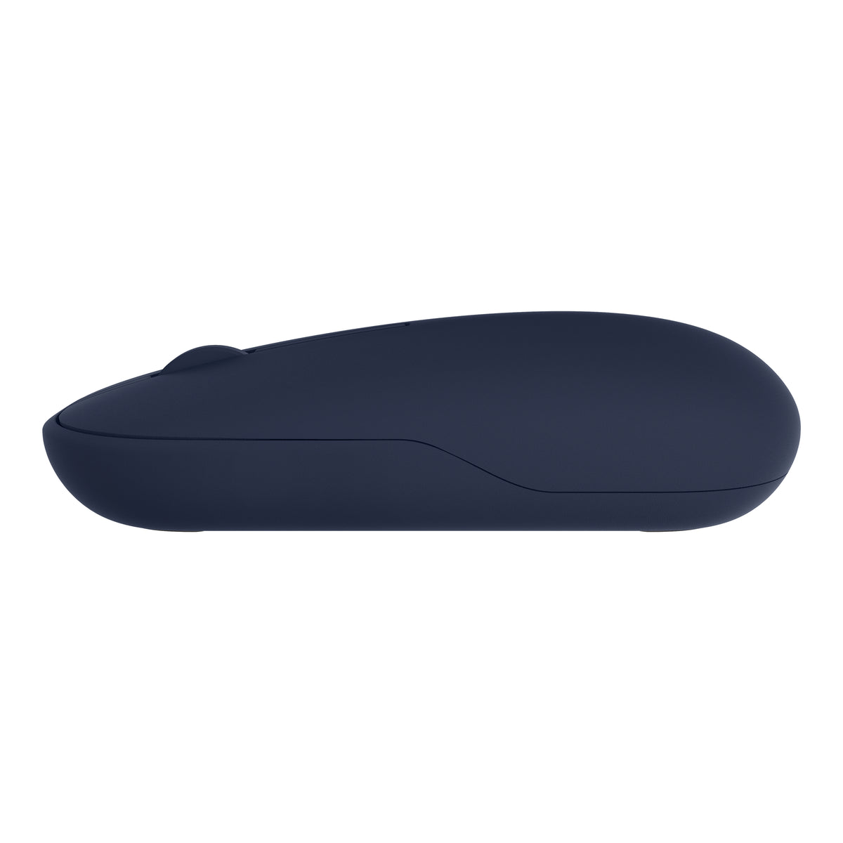 Souris ASUS MD100 sans fil ambidextre Bluetooth 2.4 GHz