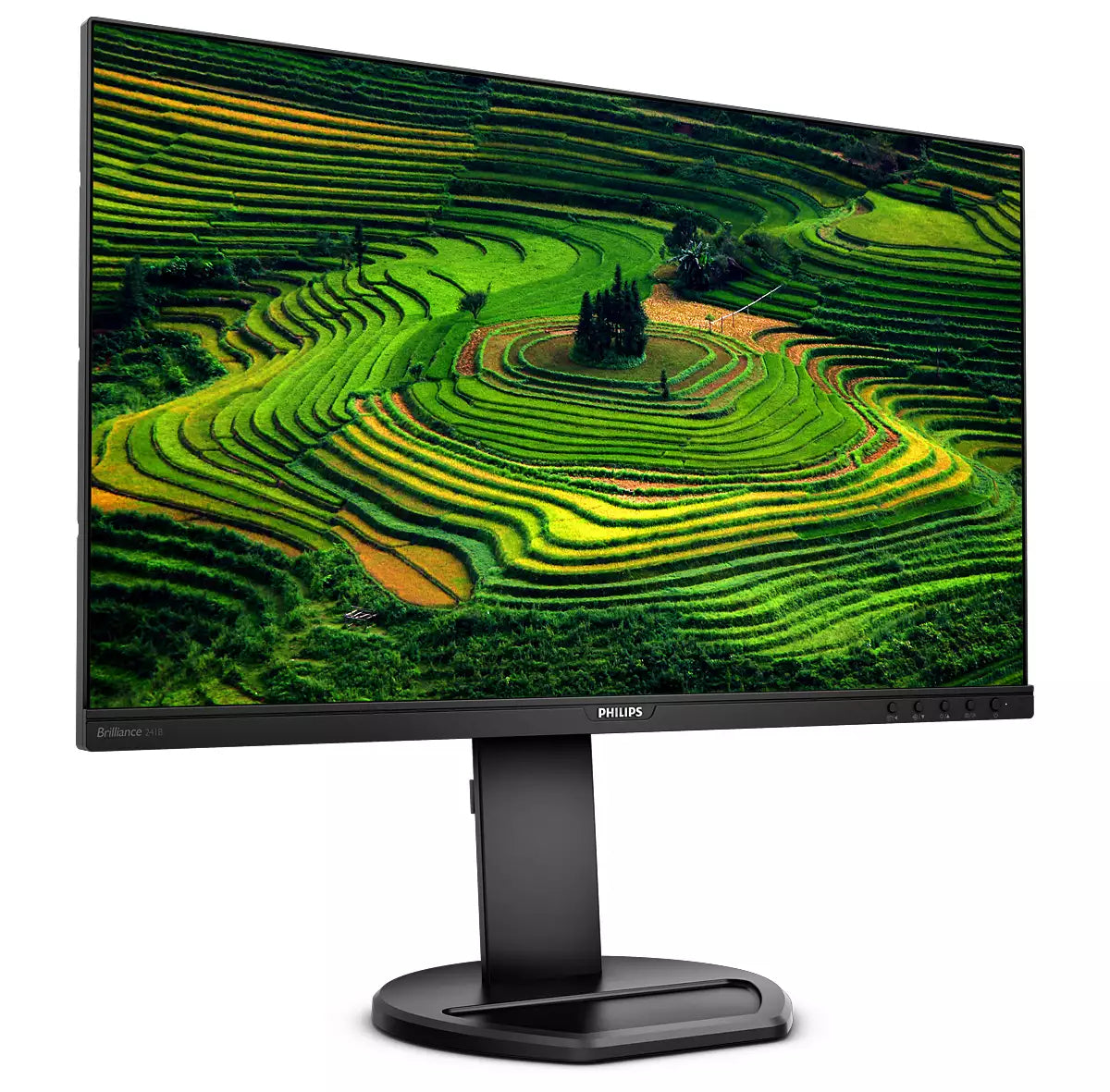 Philips 24" Écran LED Full HD IPS - 241B8QJEB